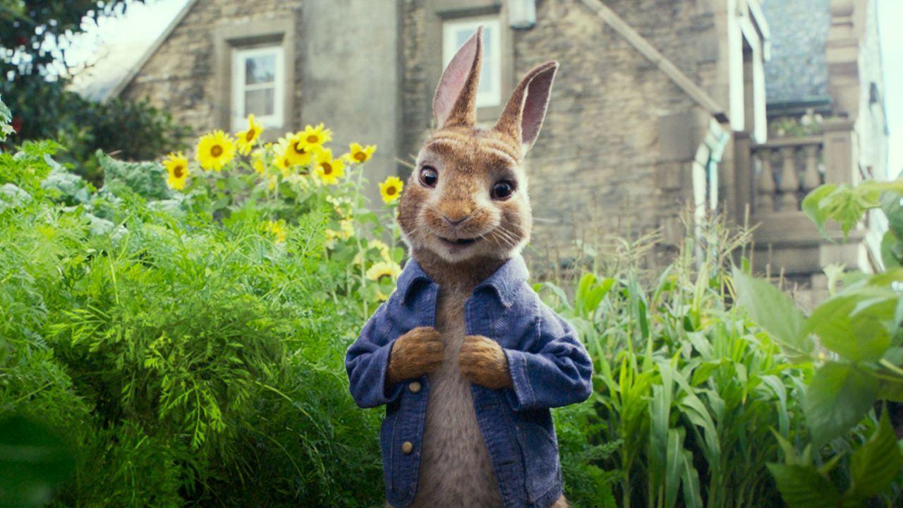 Wallpaper Peter Rabbit, 4k, Movies