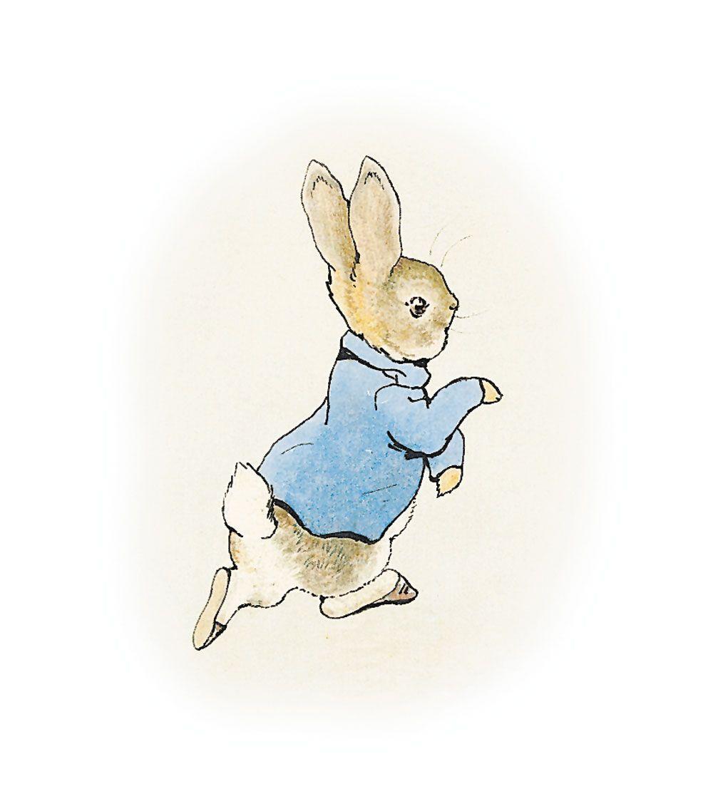 Peter Rabbit Wallpaper for iPhone 11
