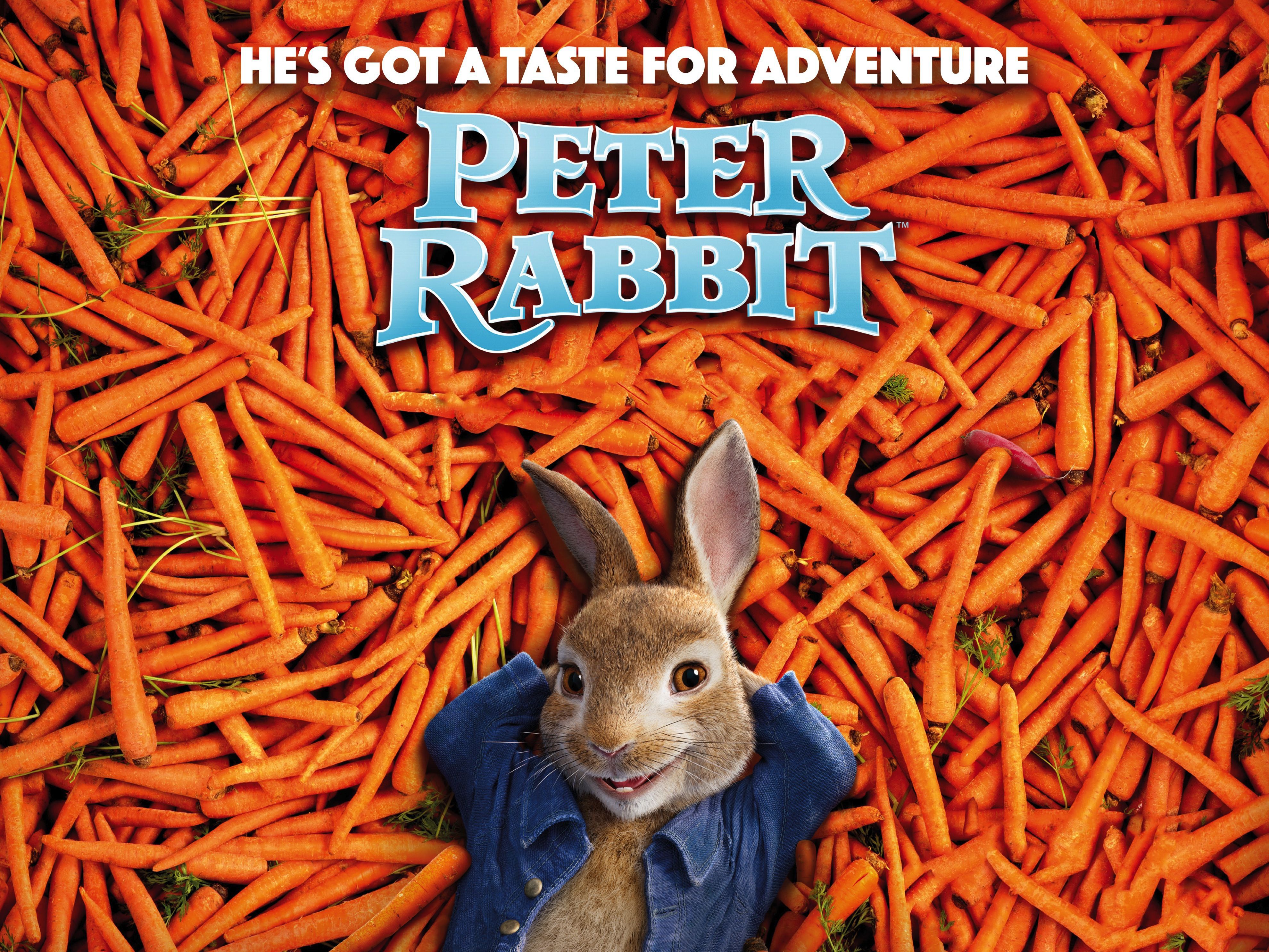 Peter Rabbit HD Movies, 4k Wallpaper, Image, Background