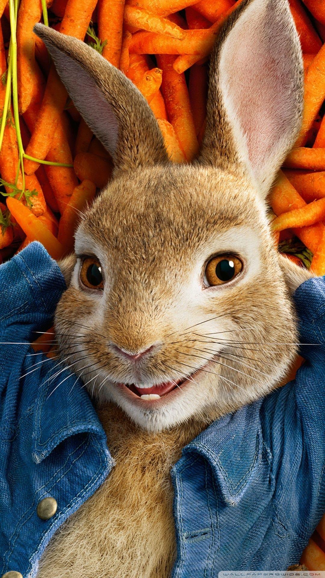 Peter Rabbit Movie 2018 ❤ 4K HD Desktop Wallpaper for • Wide