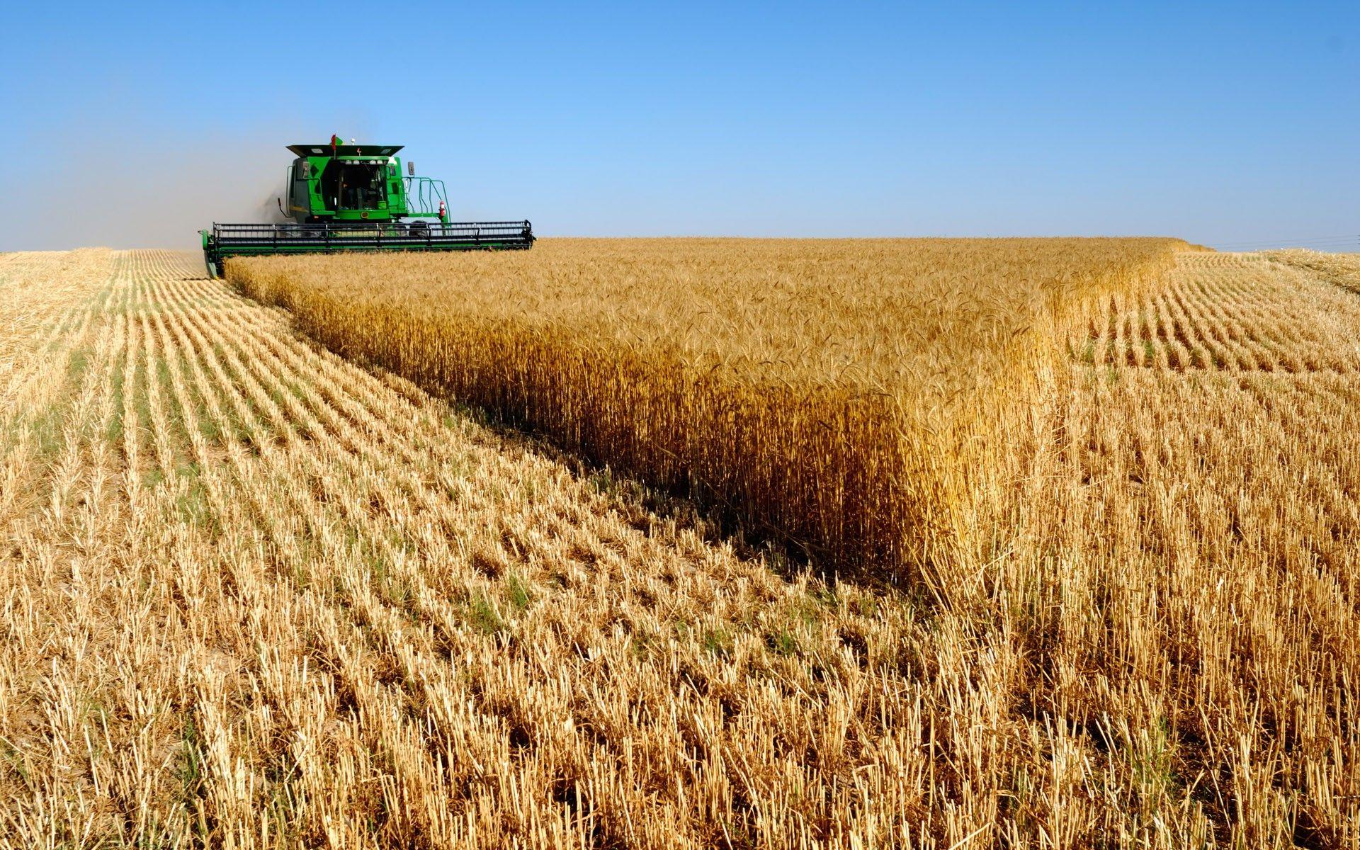 wheat, farming, combine harvester, vehicles, John Deere wallpaper