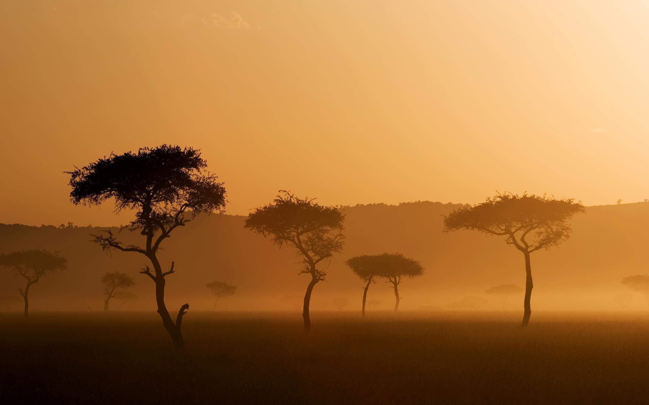 African Savanna Wallpaper