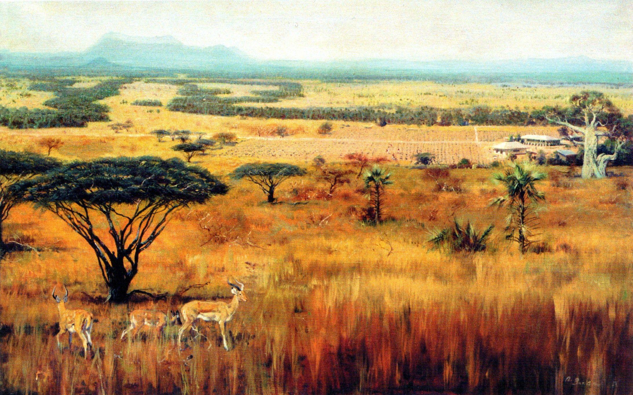Other: Savanna Animal Africa Landscape Photos for HD 16:9 High