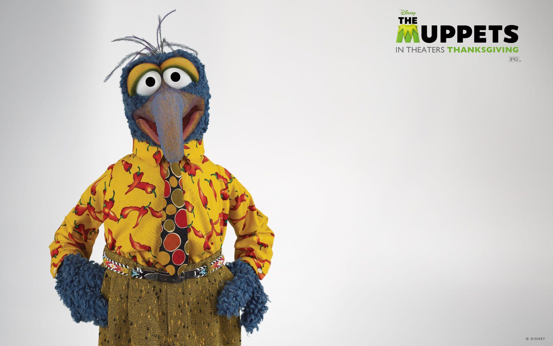 Gonzo. Free Desktop Wallpaper for Widescreen, HD and Mobile