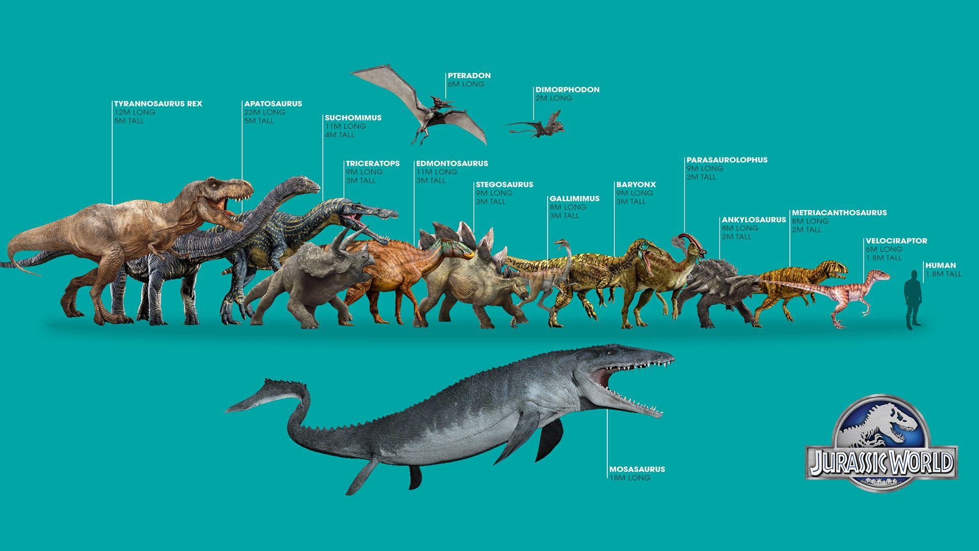 Jurassic World Dinosaurs Wallpaper Sizes and Correct Scale