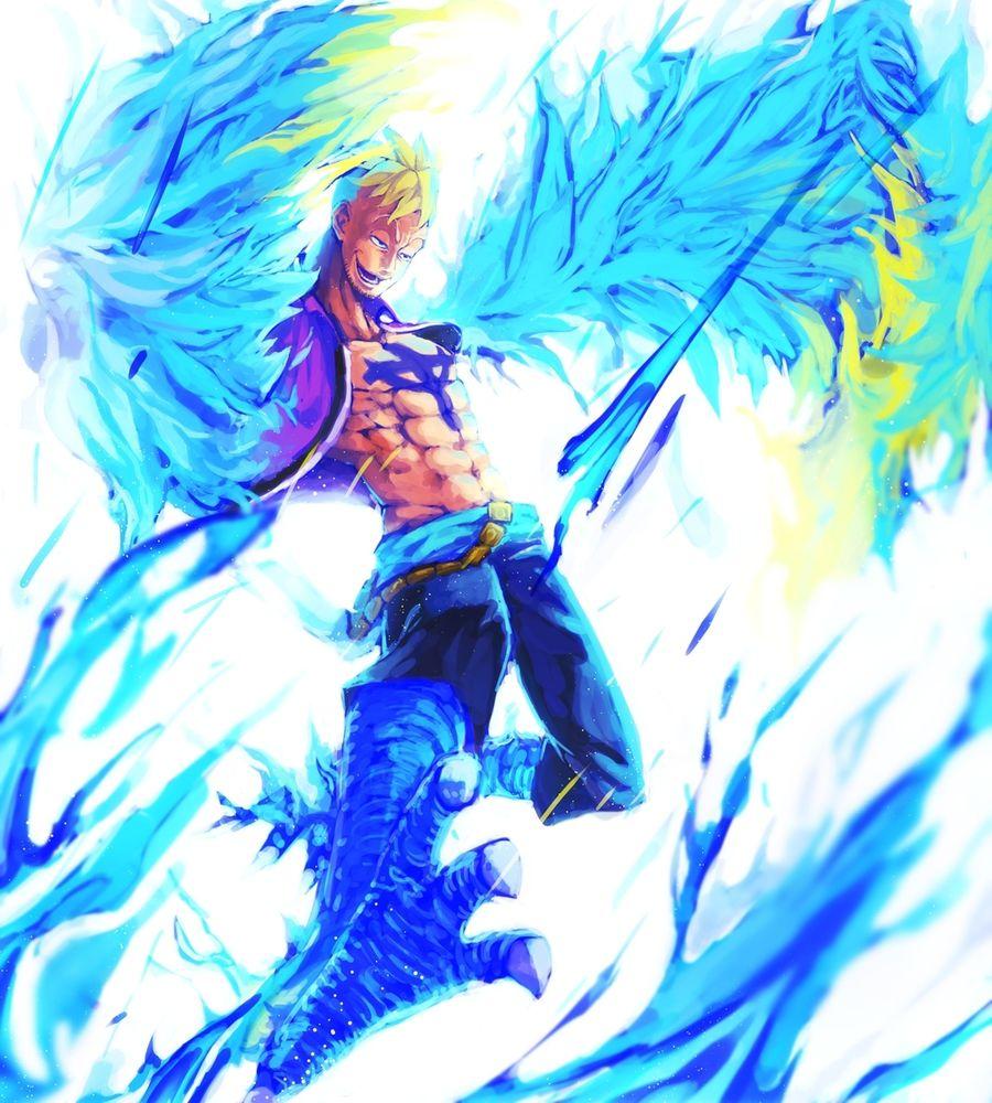 One Piece Marco Wallpapers Wallpaper Cave