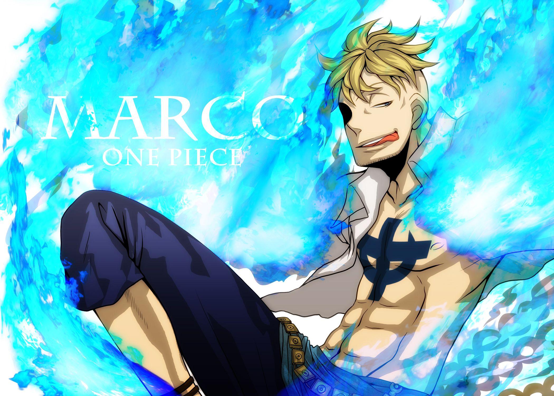  One  Piece  Marco  Wallpapers  Wallpaper  Cave