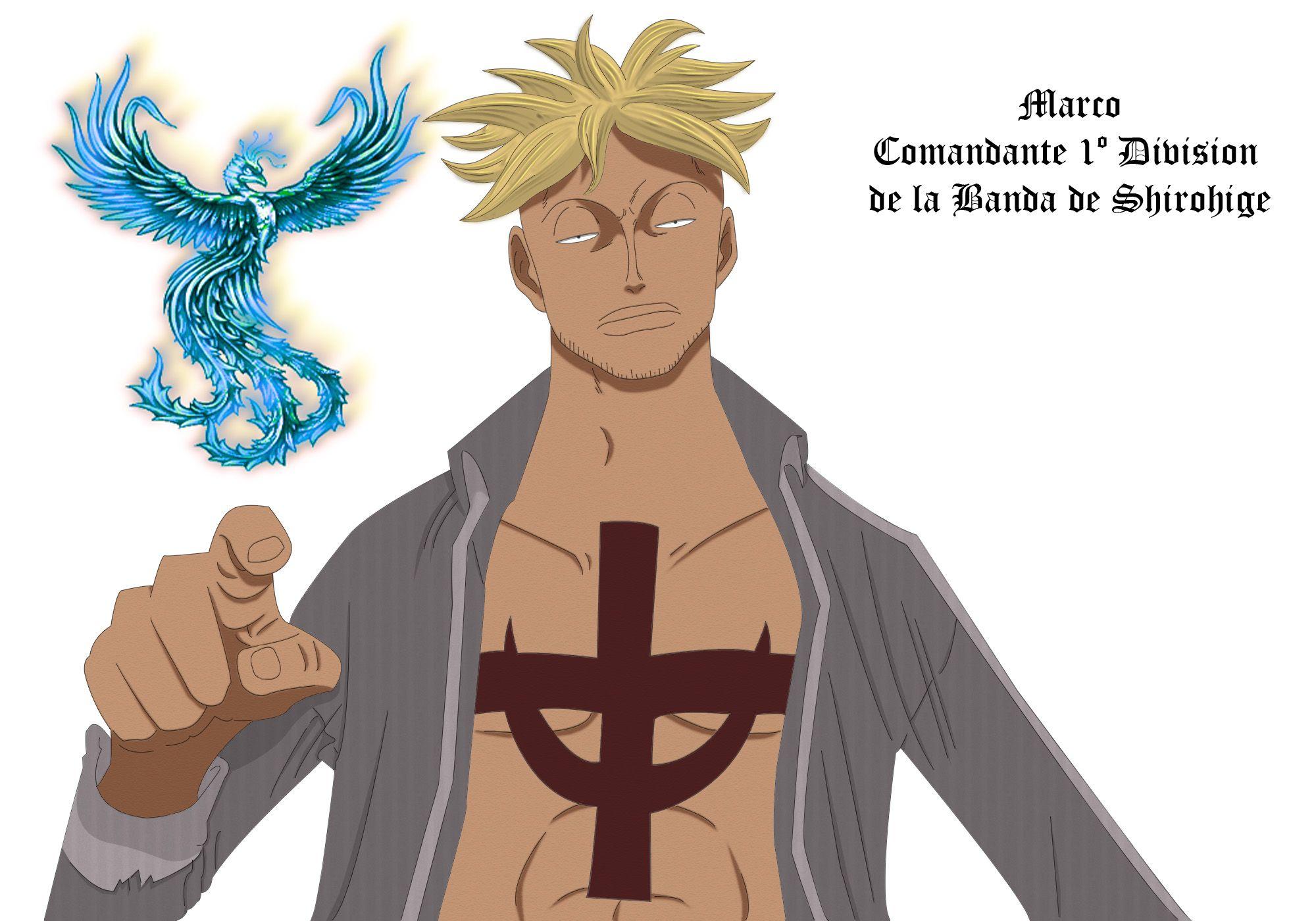 Marco (ONE PIECE) Wallpaper Anime Image Board