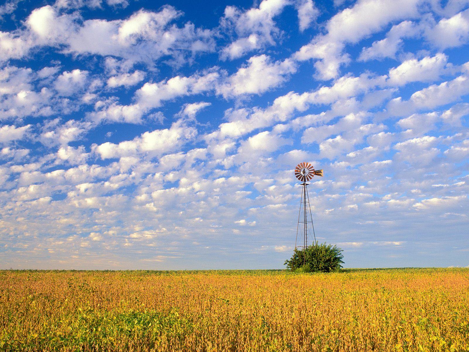 Download Background Field, Illinois Cool