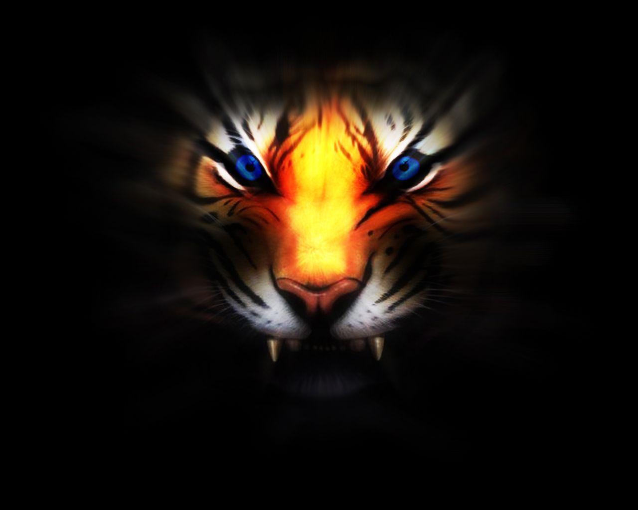 angry tiger wallpaper picture