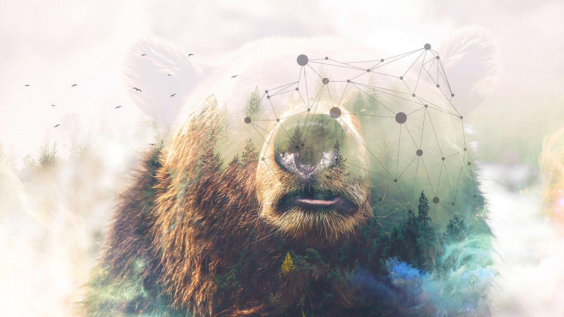 Wallpaper Grizzly bear, Forest, Photohop, HD, 4K, Creative