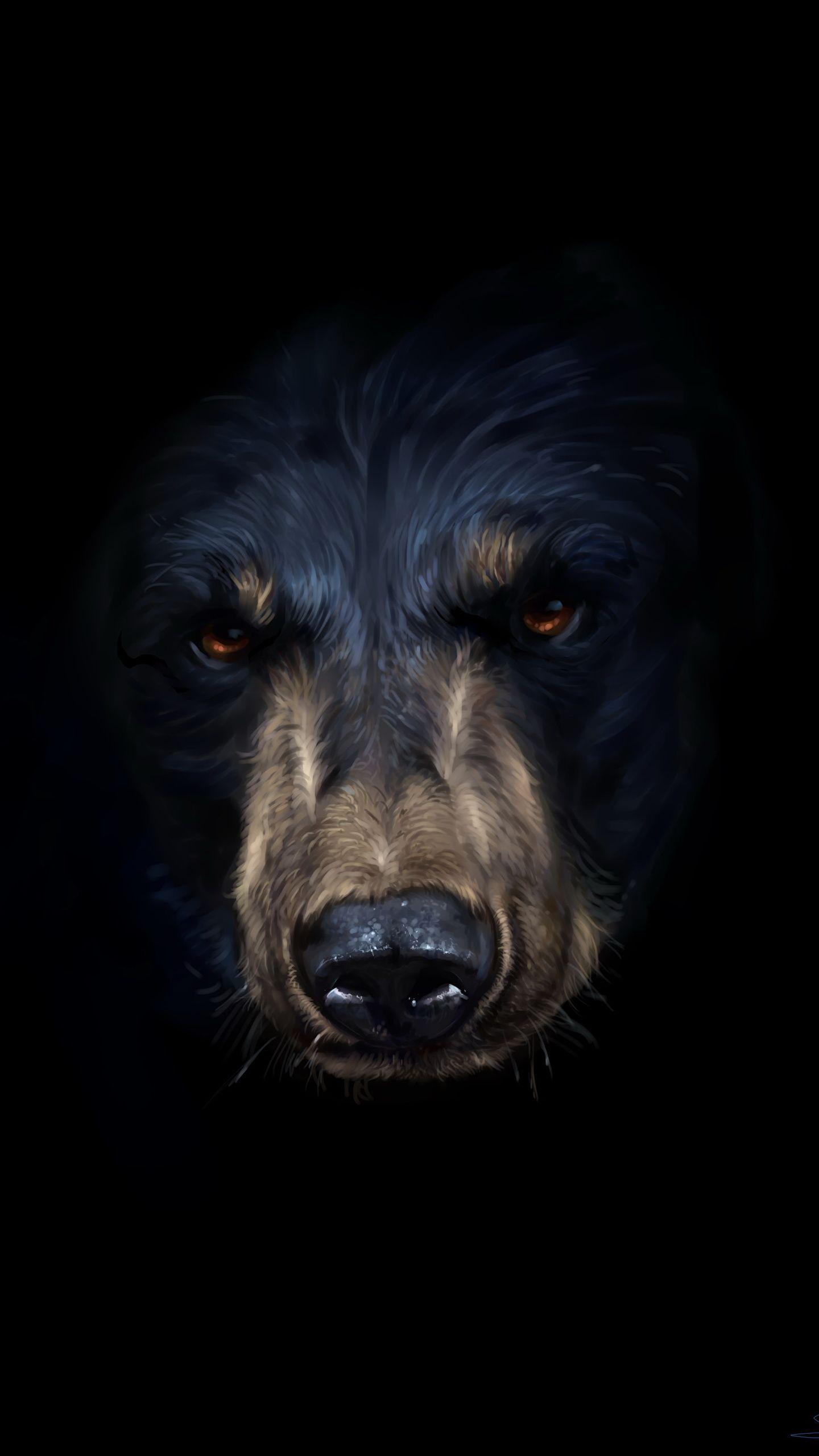 Wallpaper Grizzly Snout Animals Closeup Staring Painting 1440x2560
