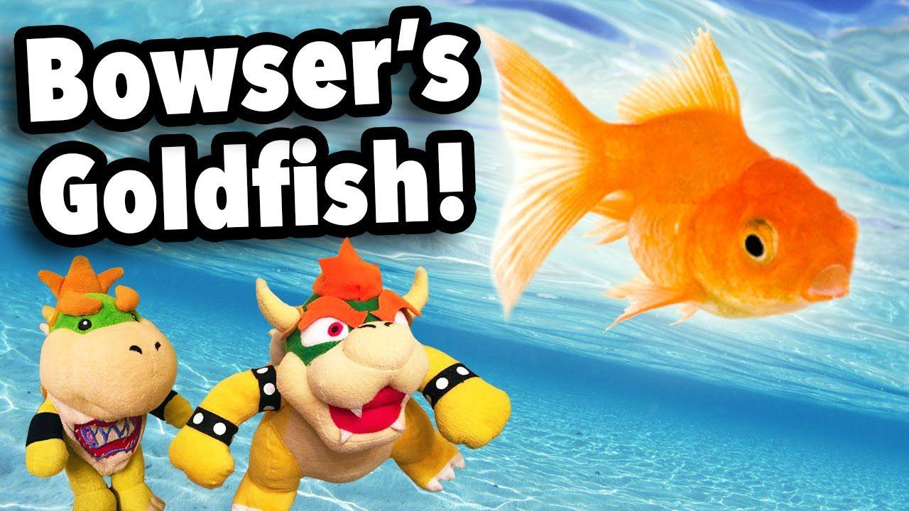 Songs In SML Movie: Bowser's Goldfish! Youtube WpHhEL7U8OM MooMa.sh