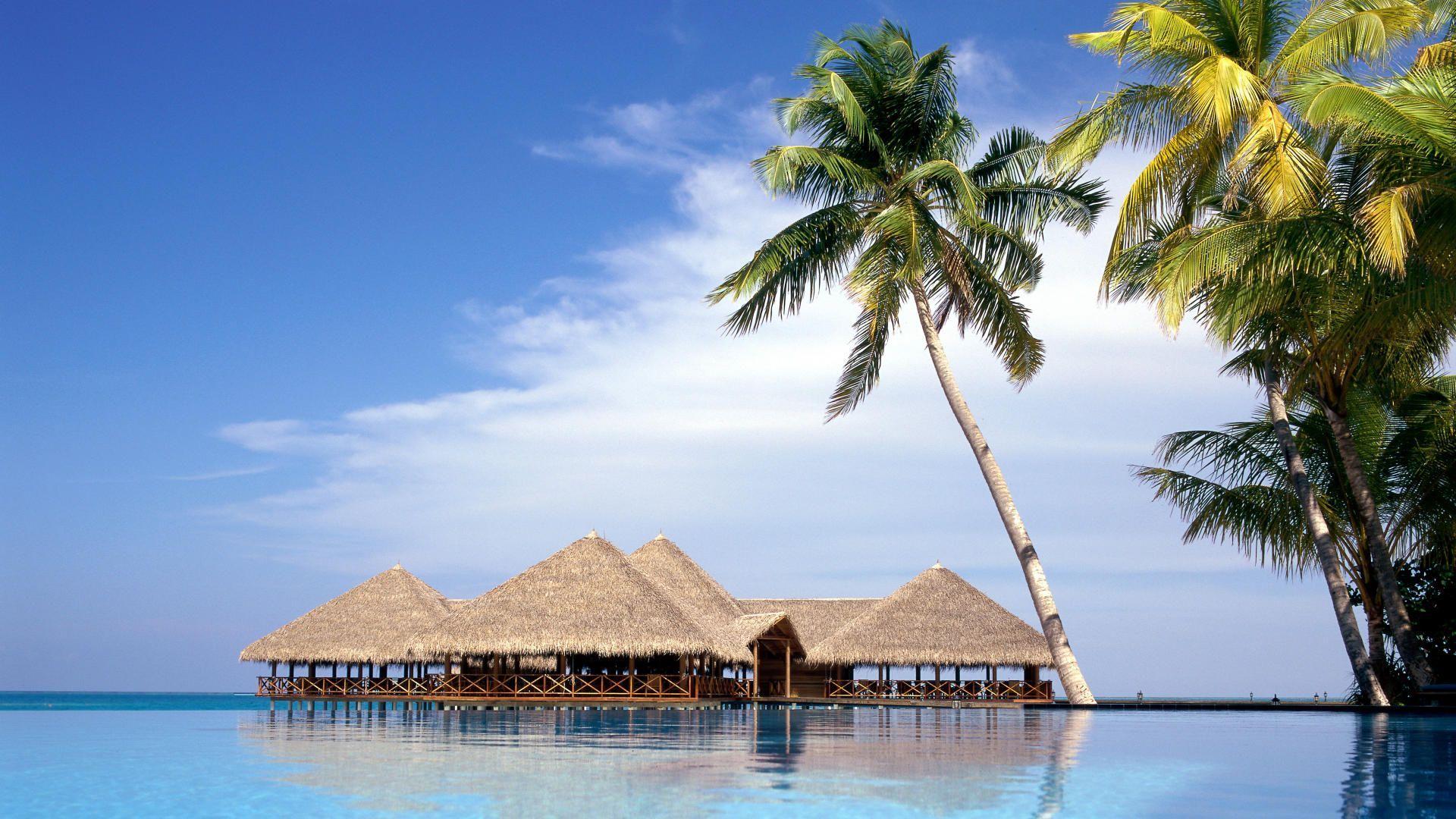 Life Style On The Beach. Beach Tropical