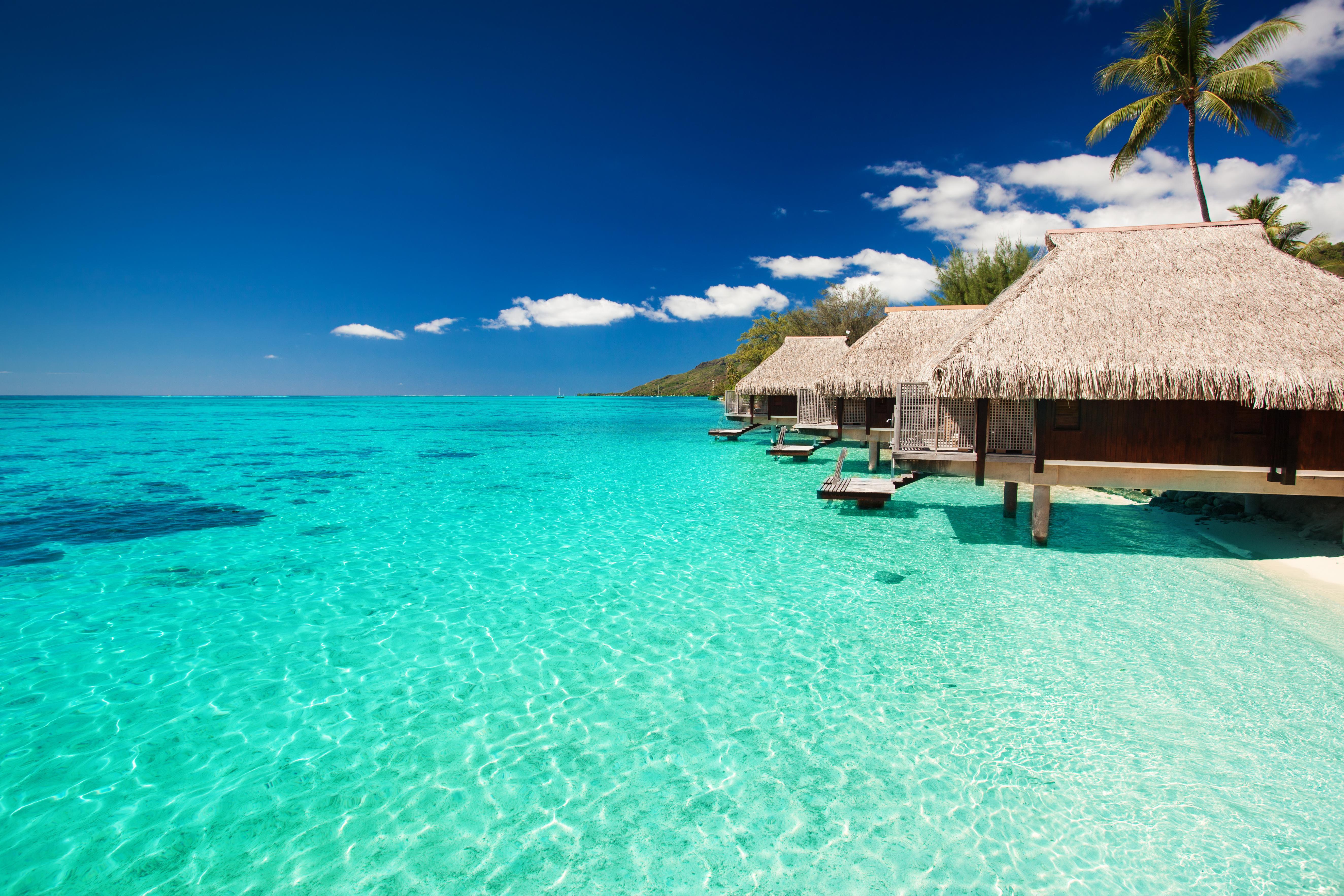Vibrant India Holidays