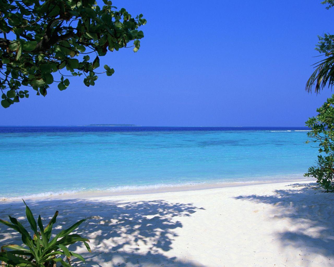 Maldives. beach. Maldives, Tropical beaches and Beach
