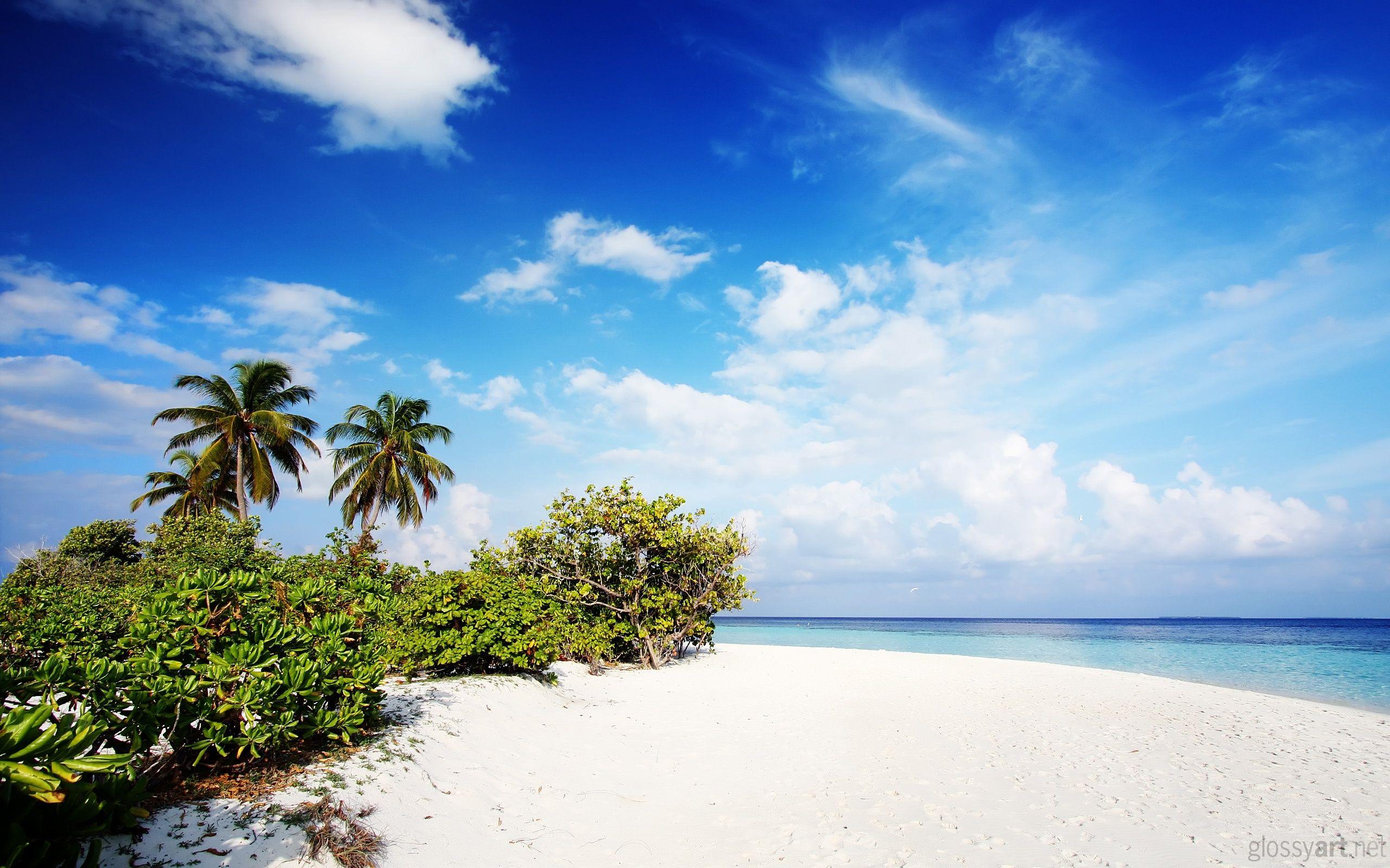 beach wallpaper for iphonedf. Places to Visit