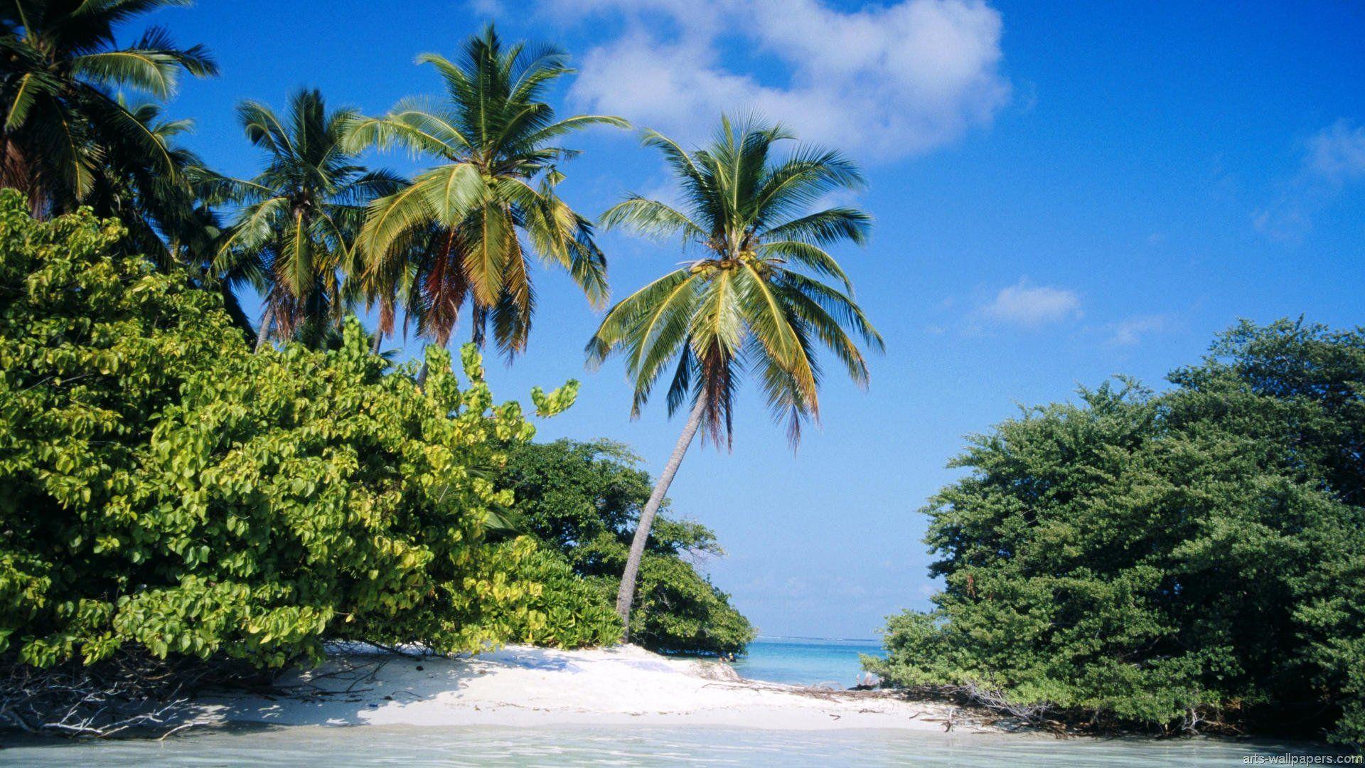 Maldives 531039