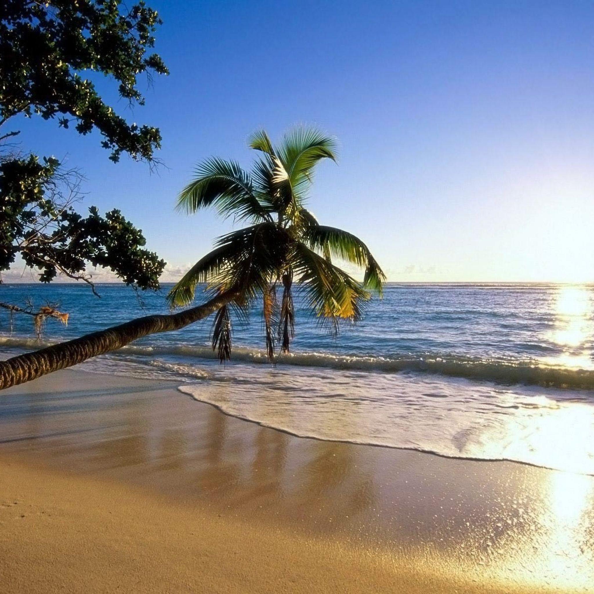 Download Wallpaper 2048x2048 Maldives, Palms, Trees, Shadow, Sea