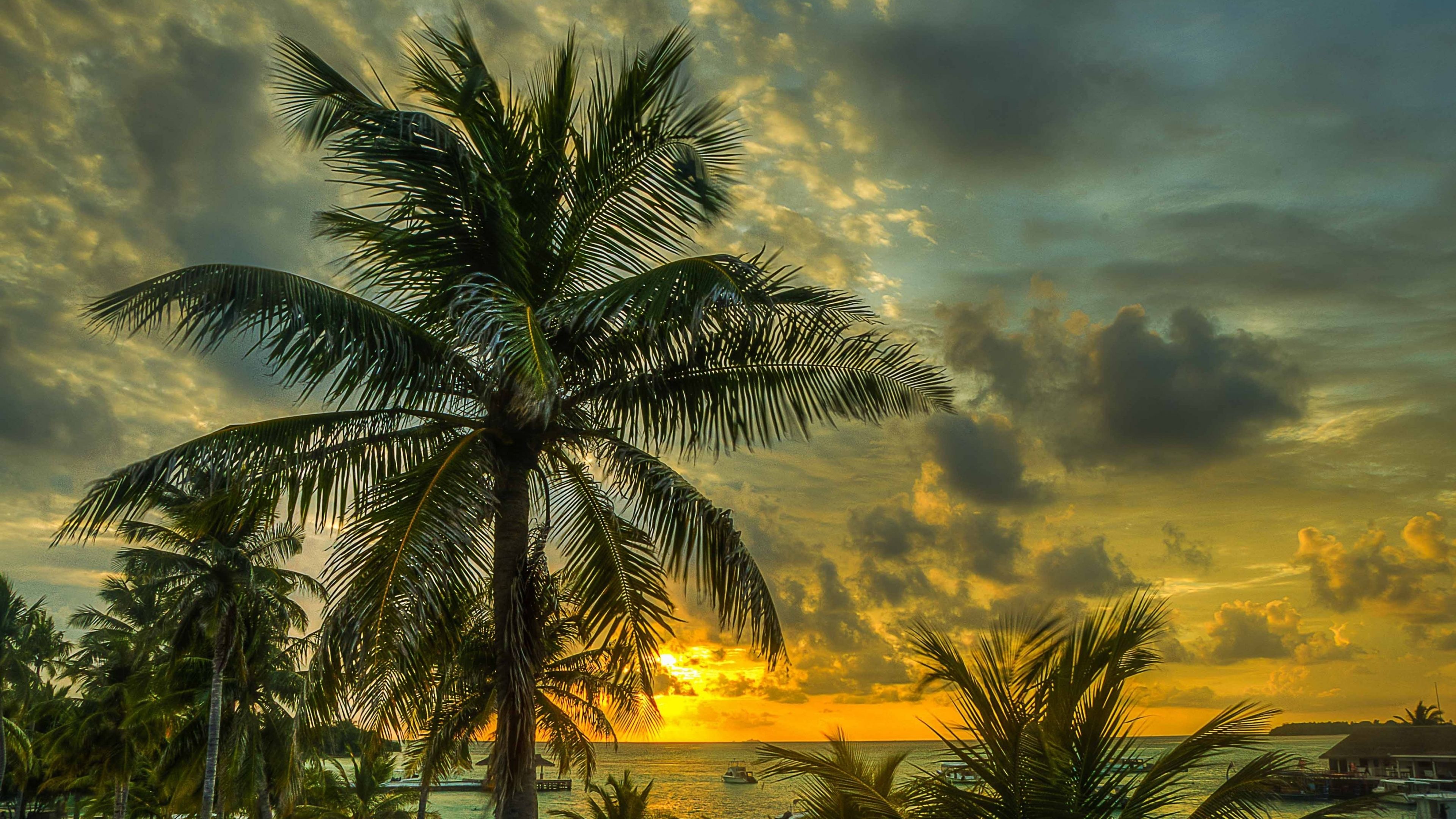 Download Wallpaper 3840x2160 Maldives, Palms, Trees, Shadow, Sea