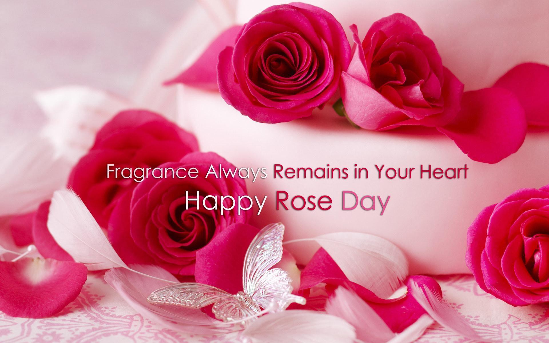 Rose Day Image, GIF, HD Wallpaper, Pics, Photo for Whatsapp DP