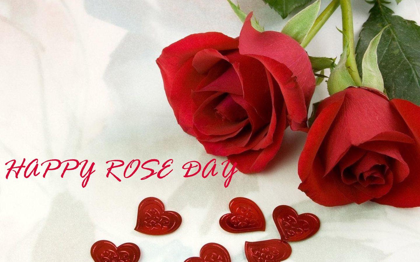 Happy Rose Day 2018 Wallpapers