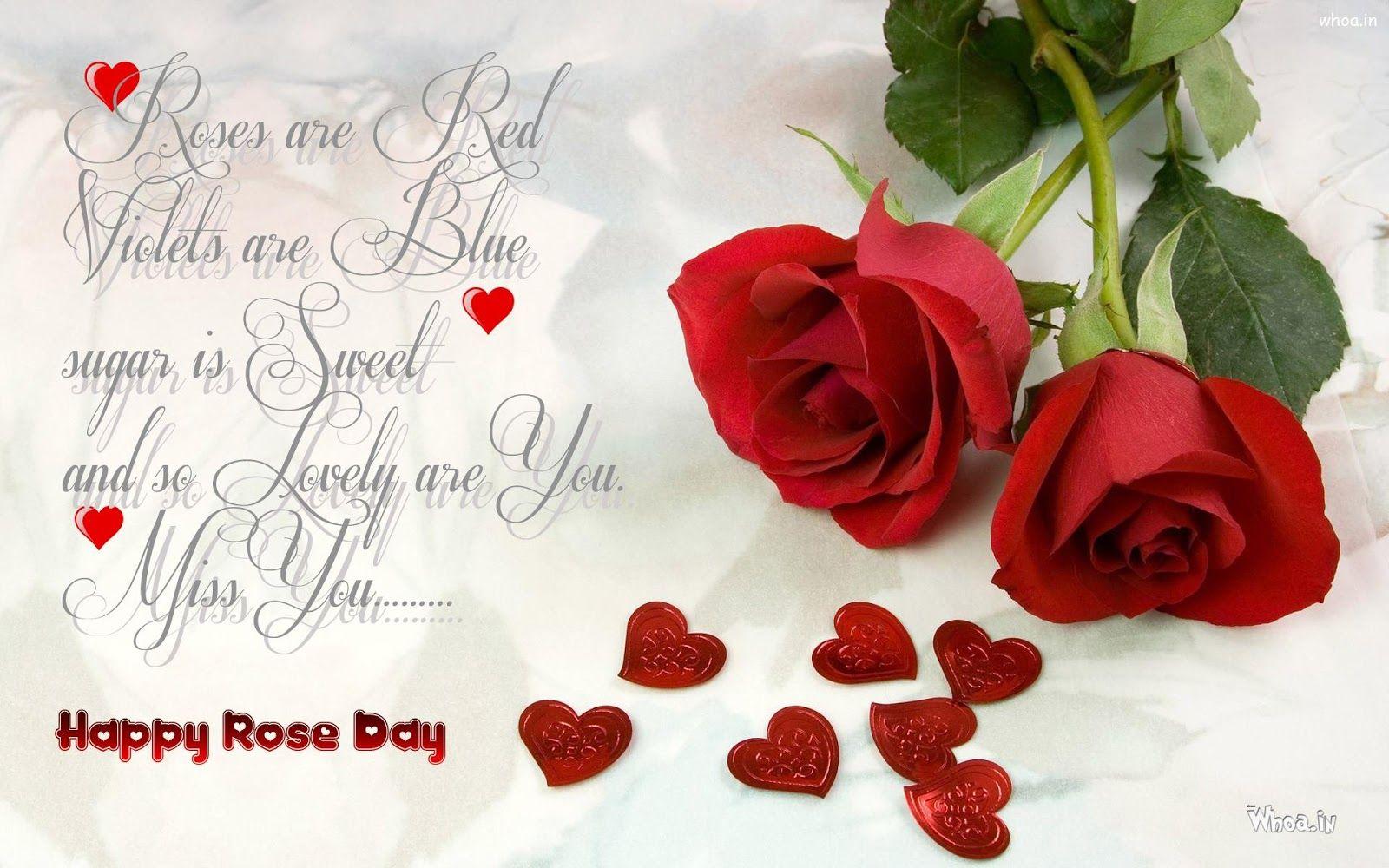Best Rose For Rose Day – Quotes & Wishes for Valentine's Week