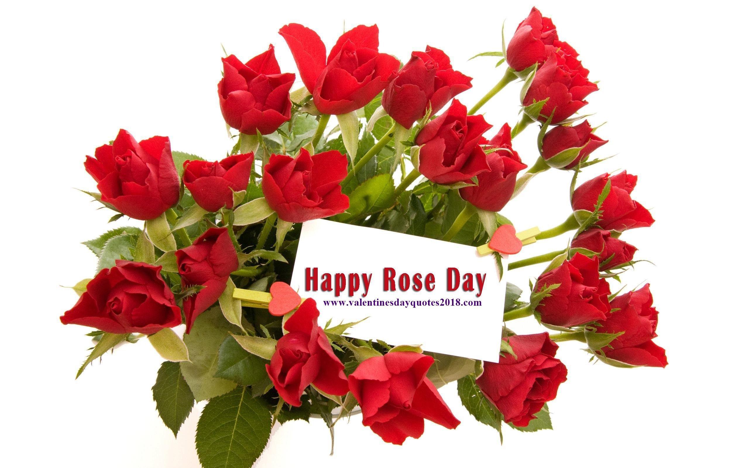 Happy Rose Day Image 2018 gif Pictures HD Wallpapers Graphics For