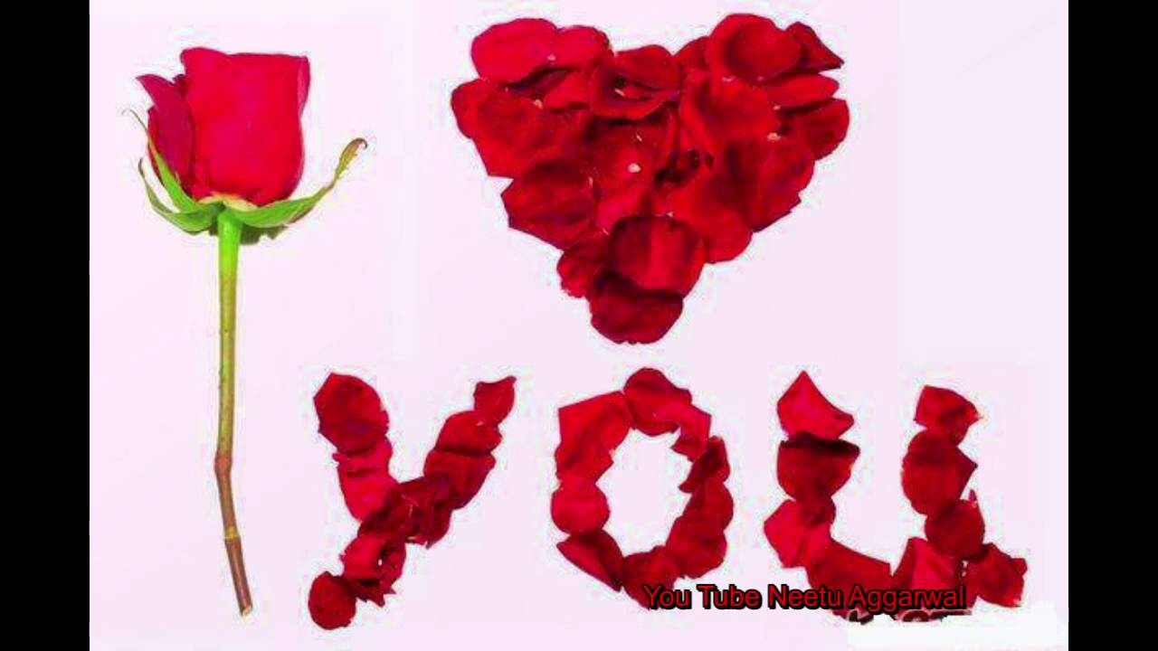Happy Rose Day Wishes,Quotes,Sms,Greetings,Saying,E