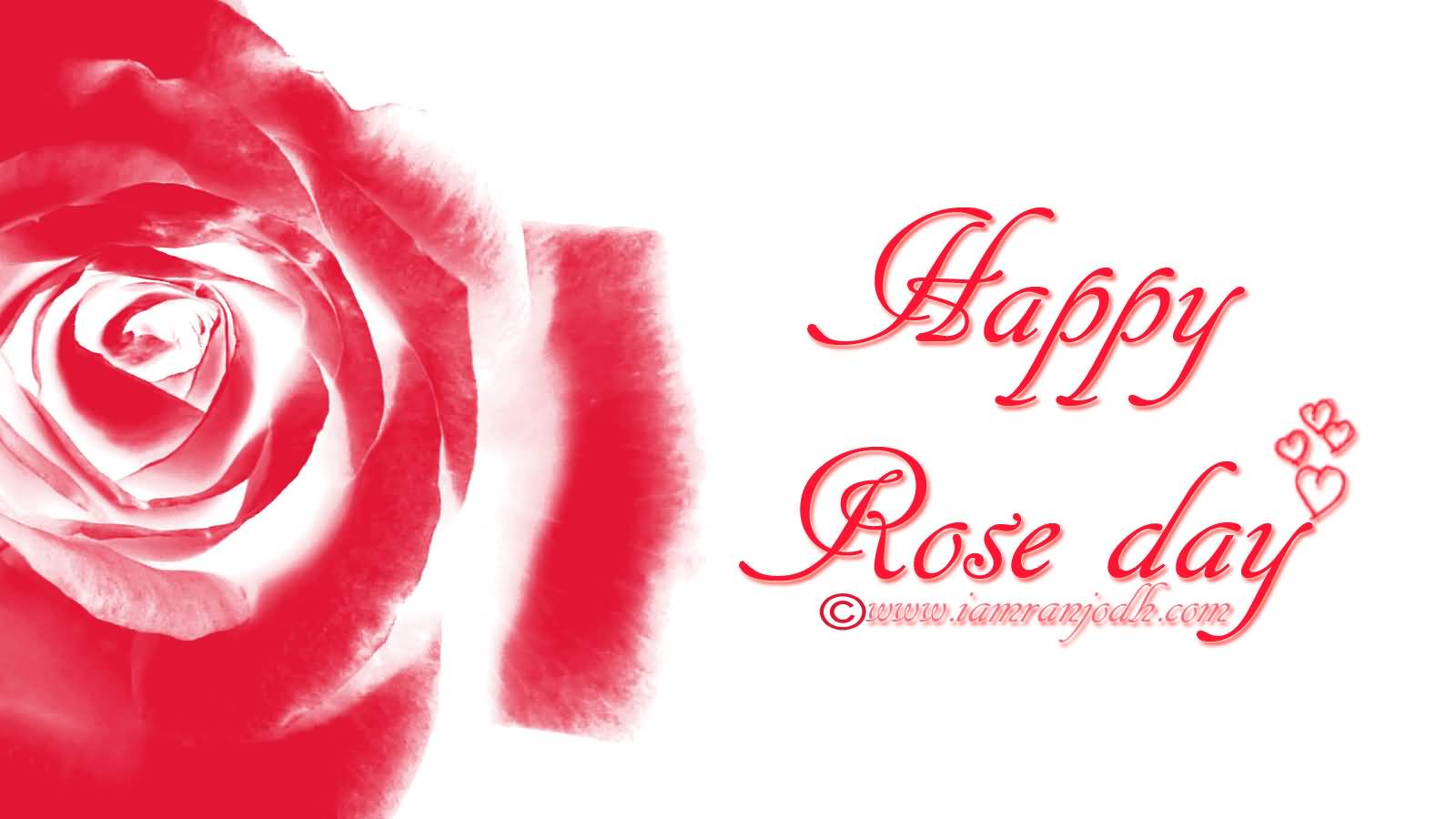 Happy Rose Day 2017 HD Wallpapers