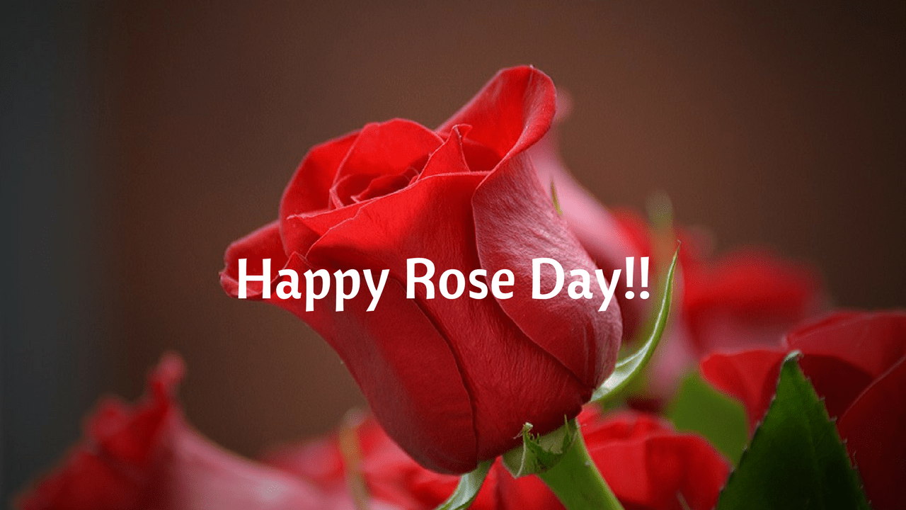 Happy Rose Day Image HD download with quotes for Boyfriend