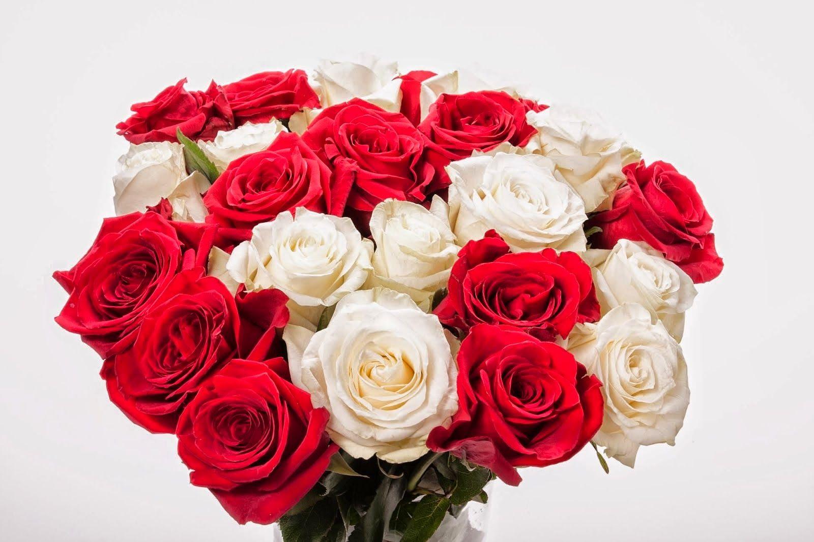 happy rose day wallpapers image pictures photos 2015