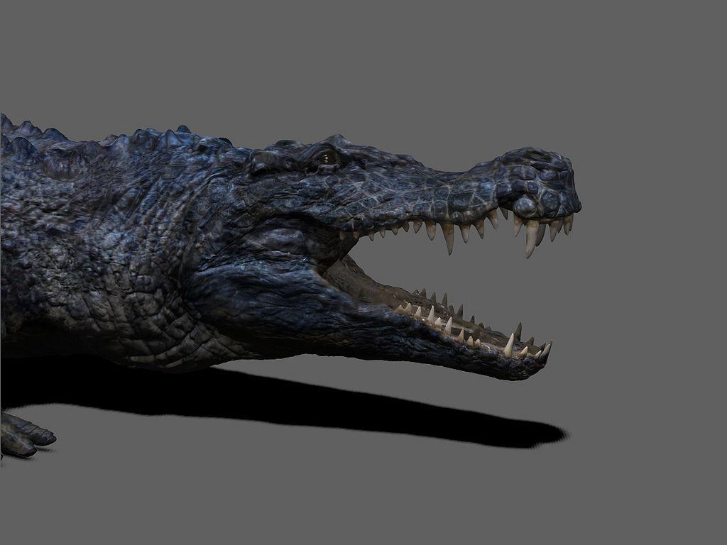 The World's Best Photo of deinosuchus Hive Mind
