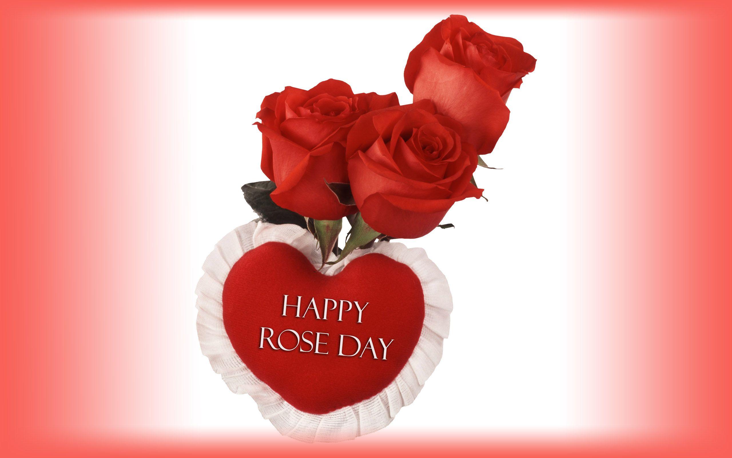 Rose Day - Valentine Day - 7 February 