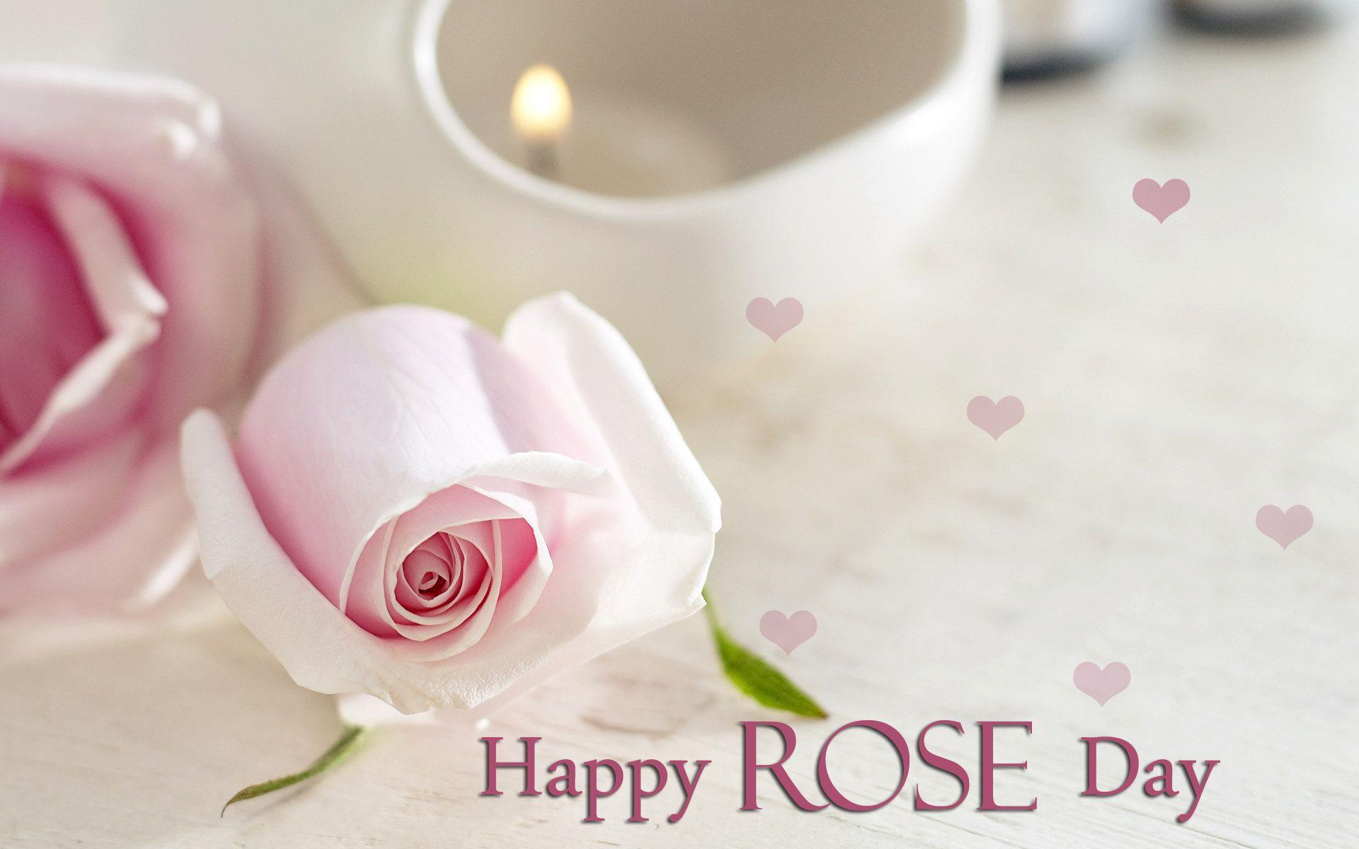 Rose Day 2016 Date
