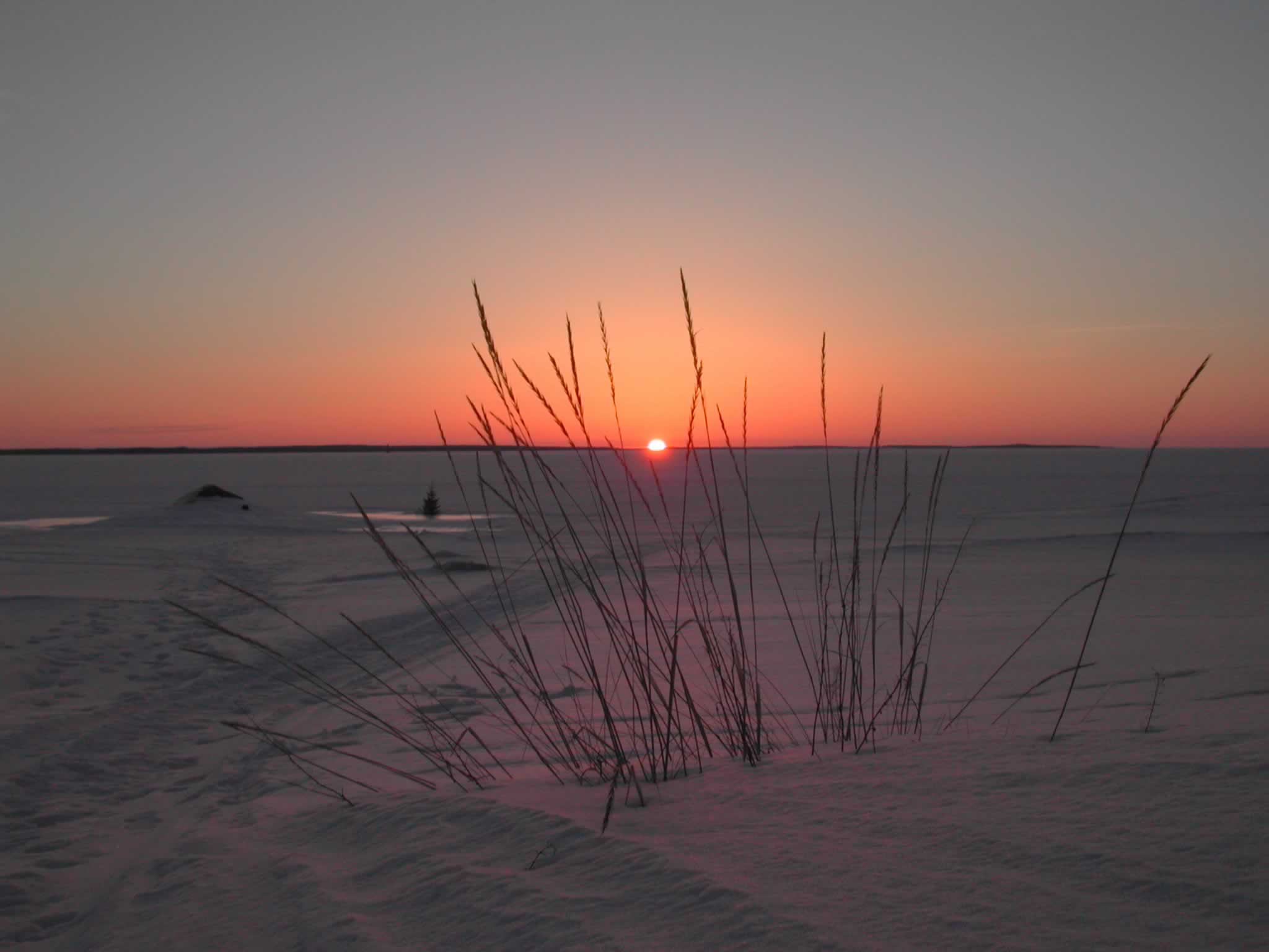 Sunset On Arctic Tundra And Sunsets Wallpaper