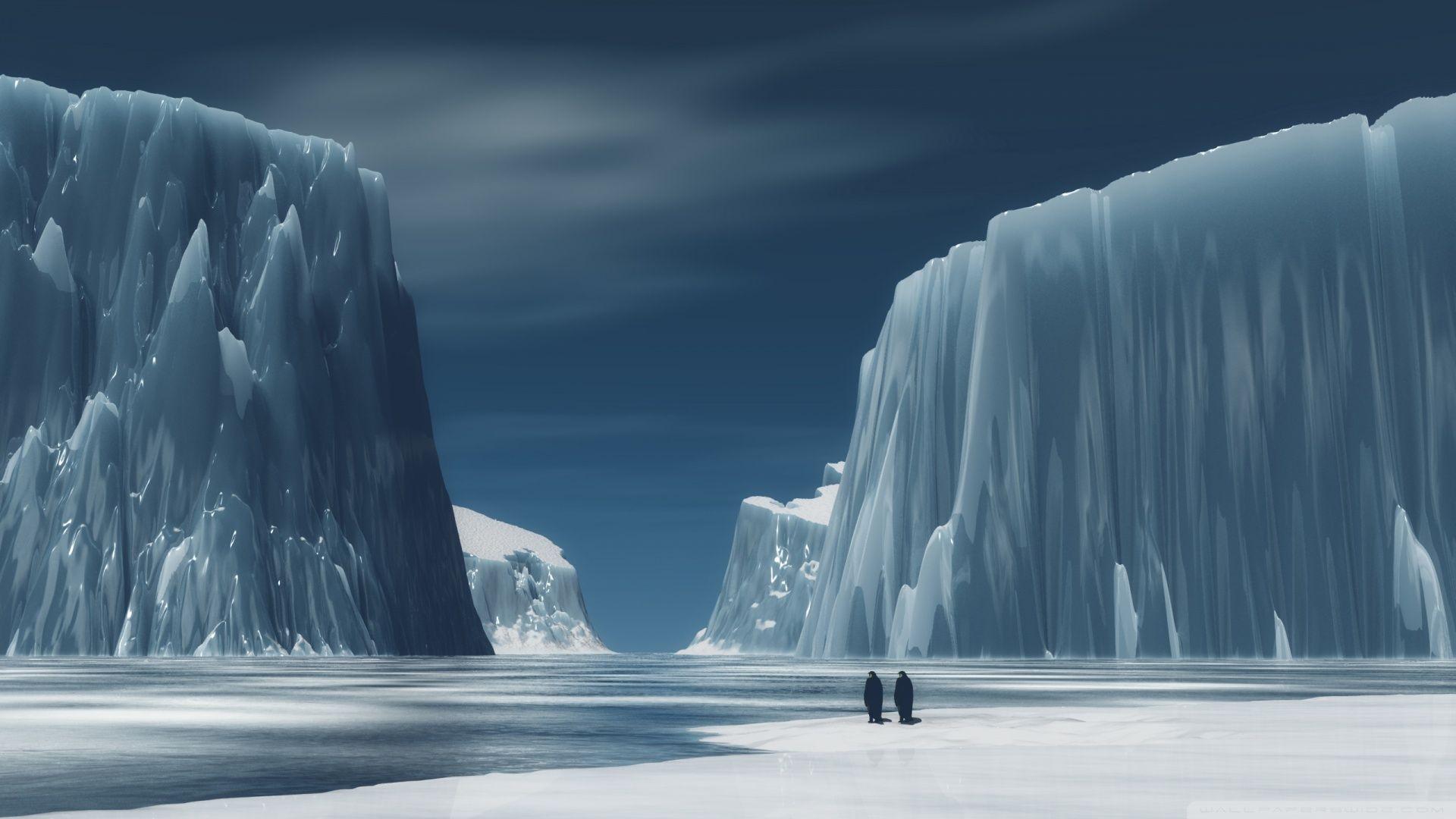 Penguins In Antarctica ❤ 4K HD Desktop Wallpaper for 4K Ultra HD