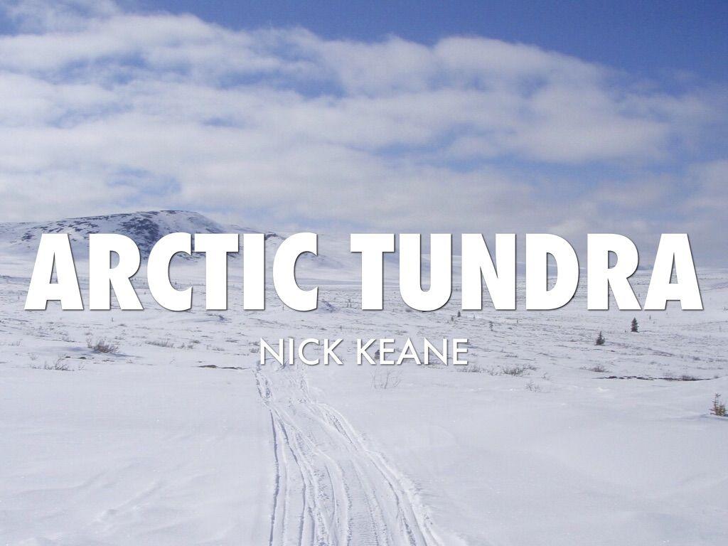 Geography Arctic Tundra