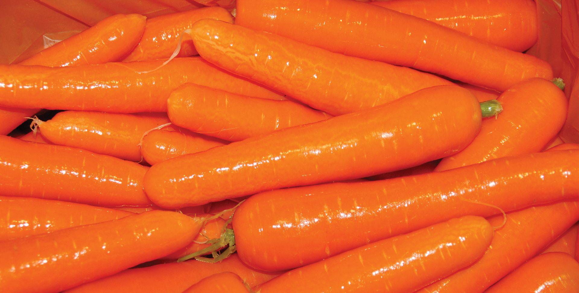 Carrot Wallpaper