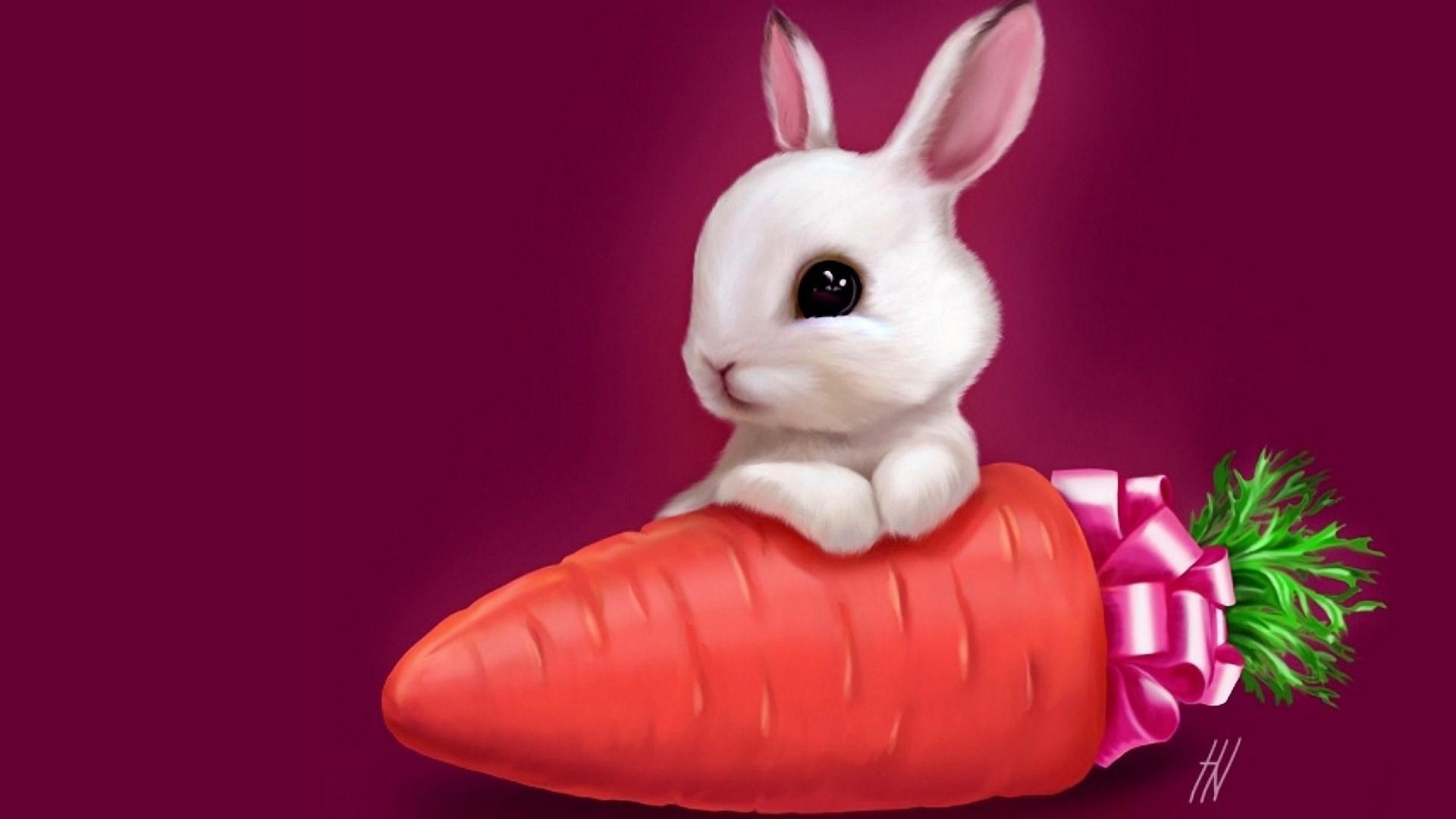 White Bunny Rabbit With A Huge Carrot Wallpaper. Wallpaper Studio