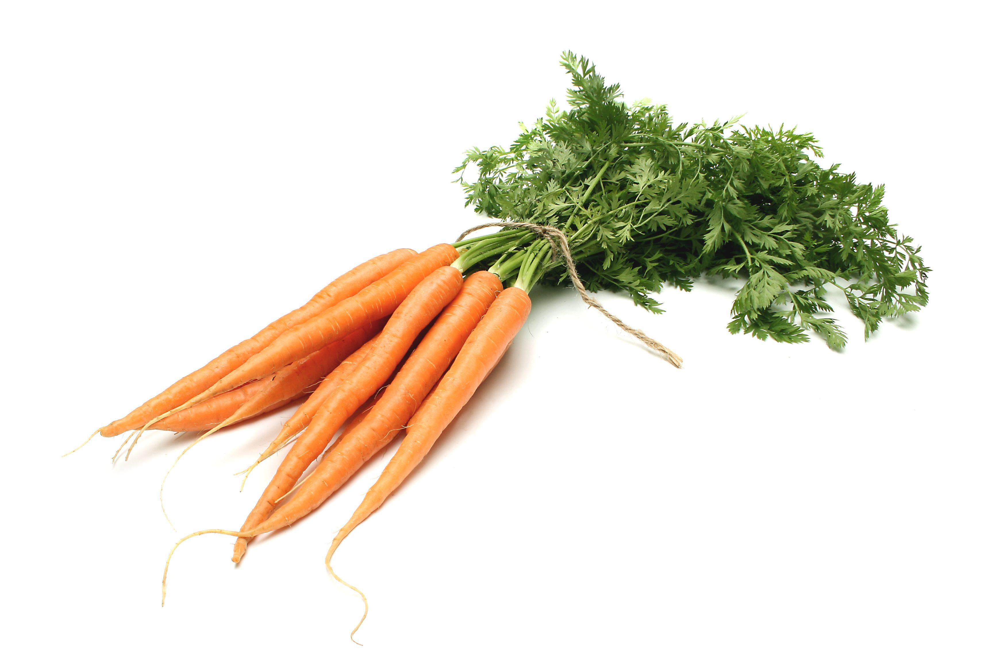 3504x2336px Carrot (1252.35 KB).08.2015