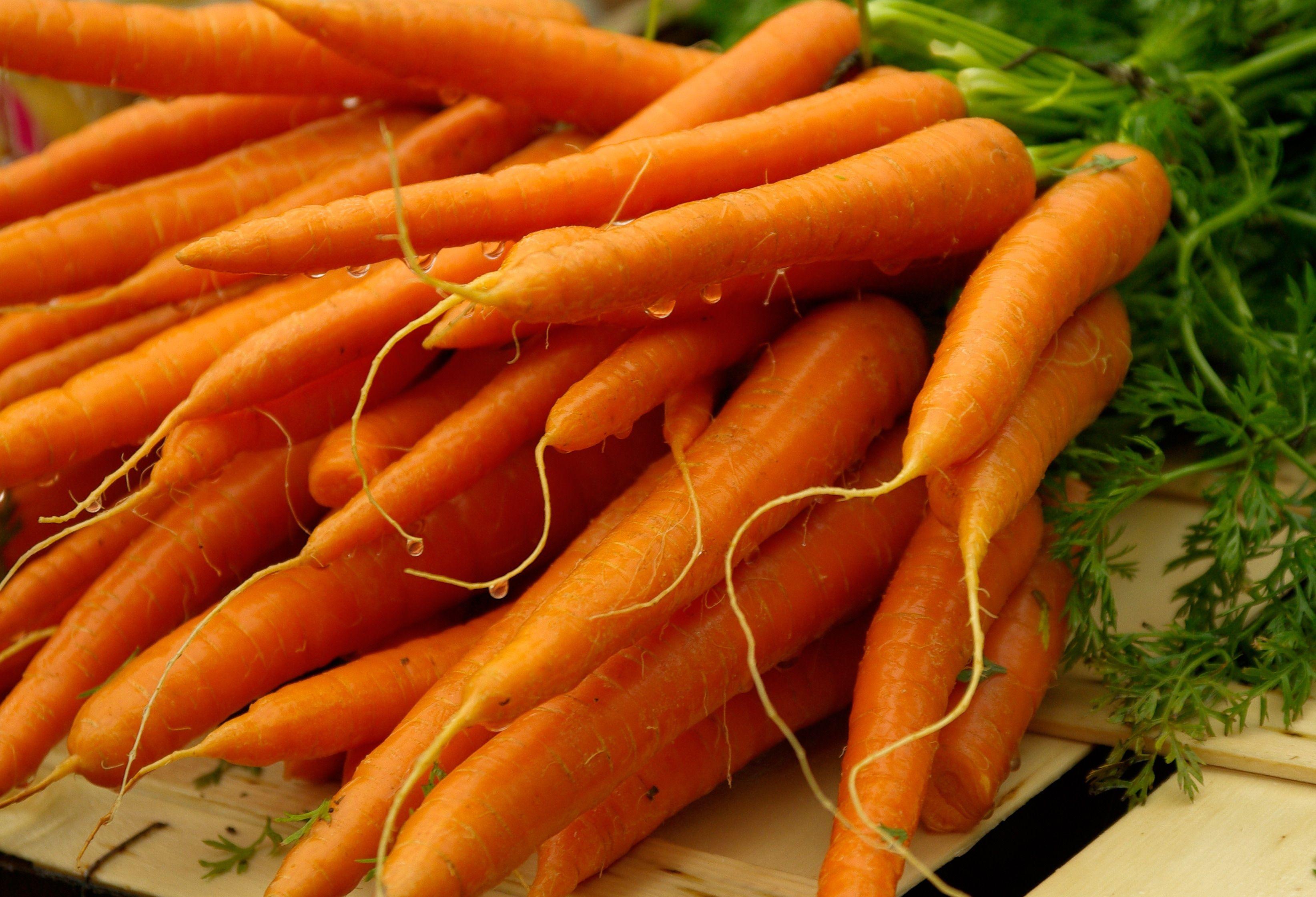 orange carrots free image