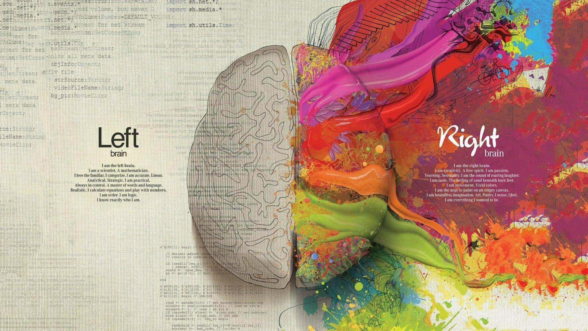 Cerebral Brain Hemispheres Illustration Desktop Wallpaper