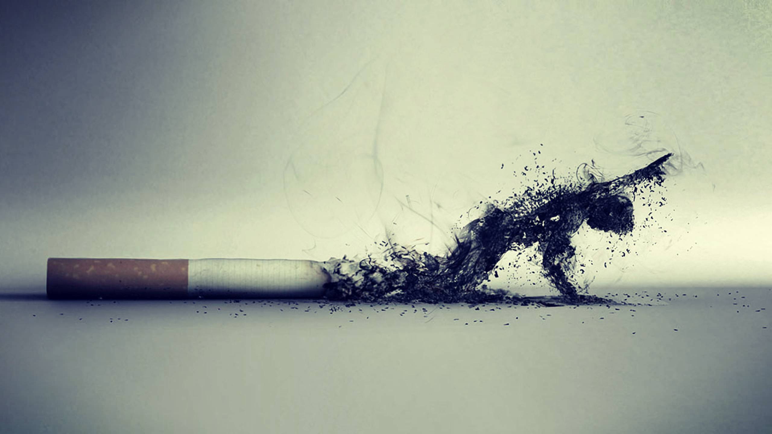 Smoking Kills Cool Illustration Free Wallpaper HD