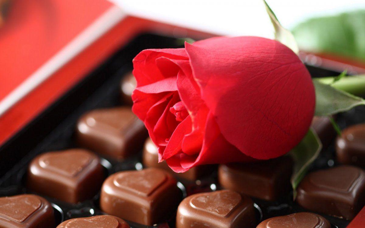 chocolate with rose