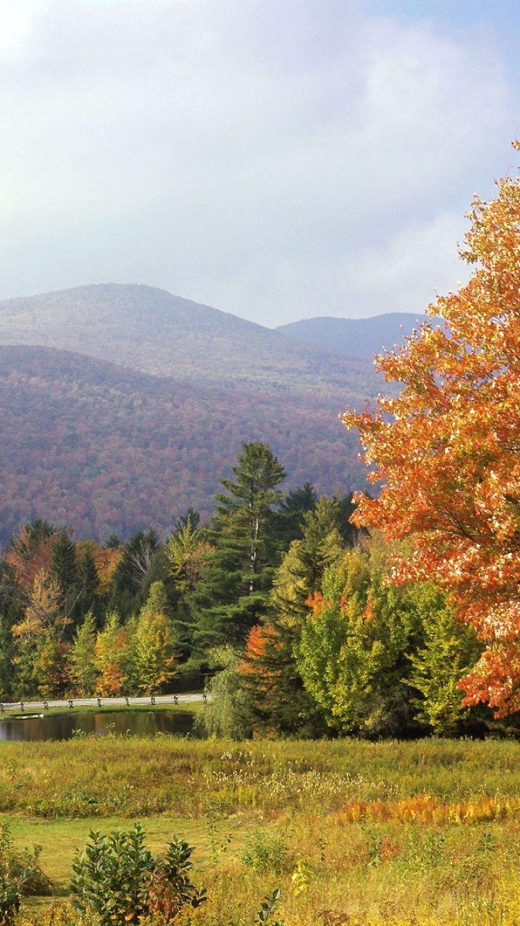 Download Wallpaper 750x1334 Park, Vermont, Trees, Autumn iPhone 6