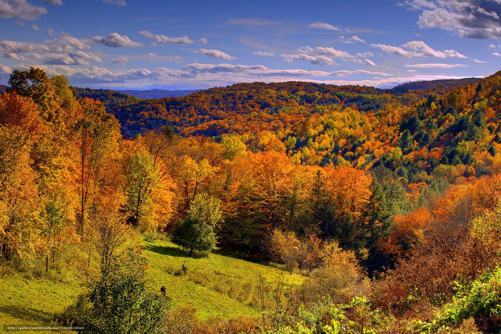 Download wallpaper valley of fall color, autumn, vermont free