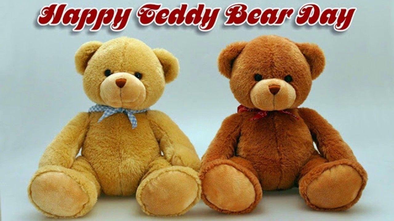 Happy Teddy Day 2017 Wishes Quotes Image Video