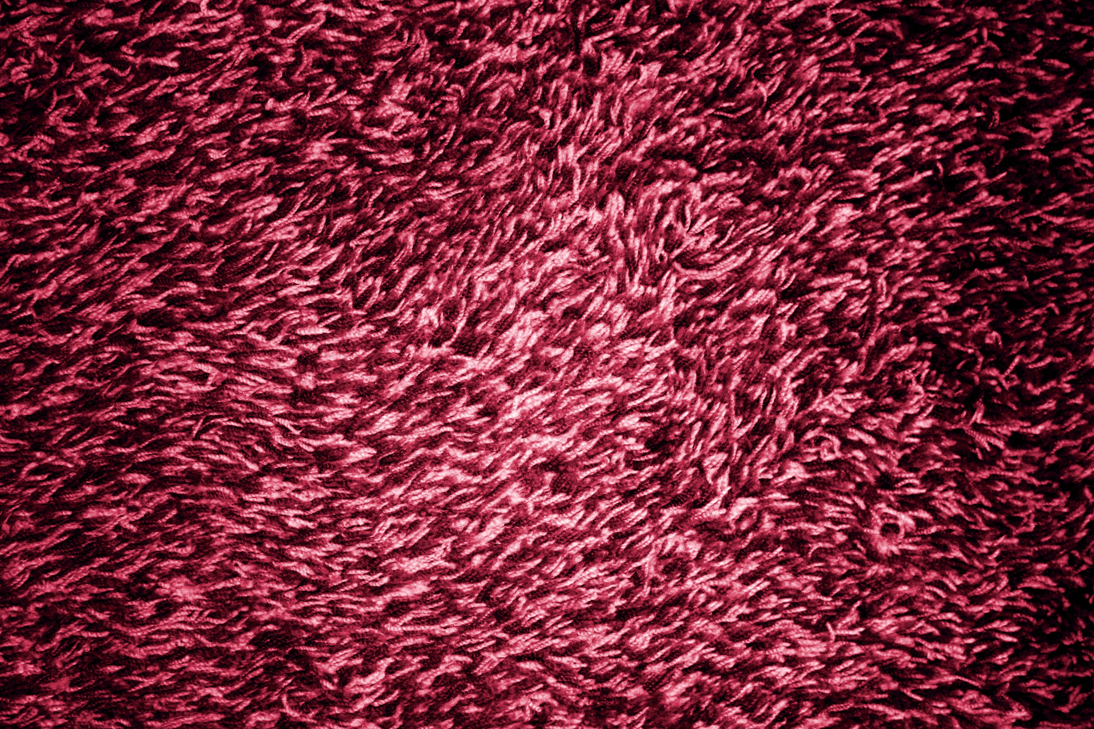 Magenta or Hot Pink Shag Carpeting Texture Picture. Free