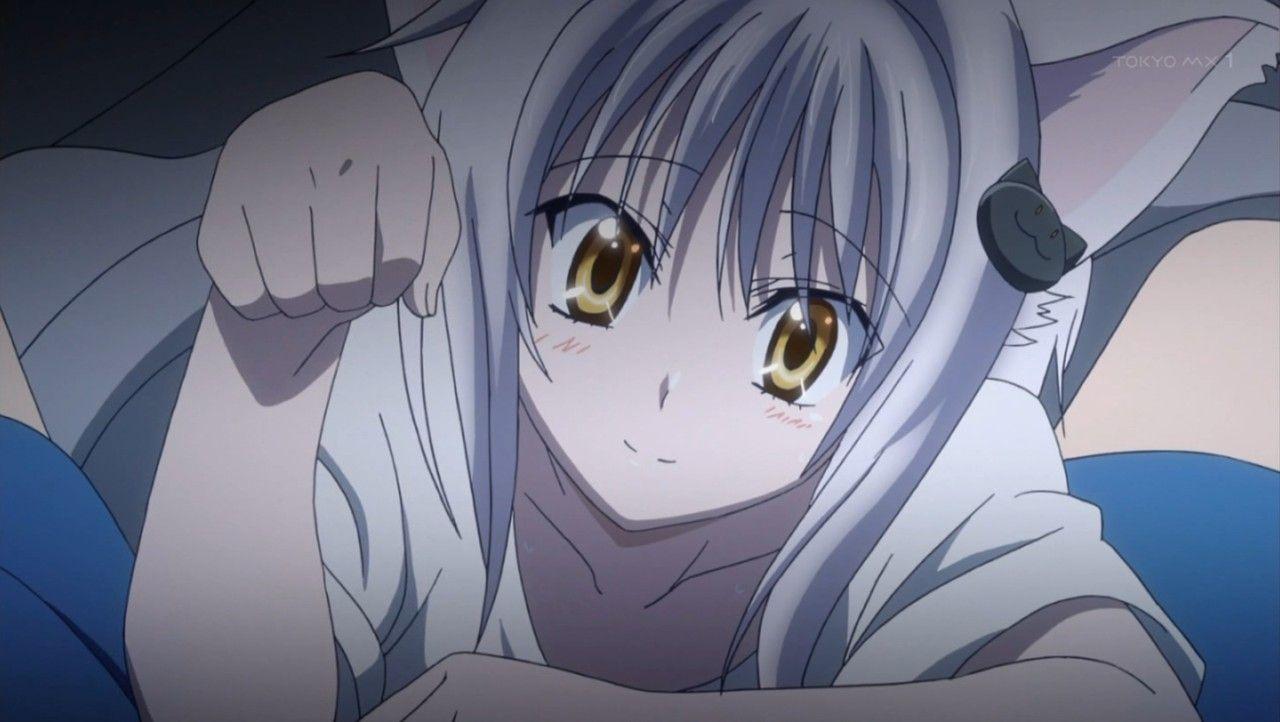 Free download Image Koneko kicking Cerberusjpg High School DxD